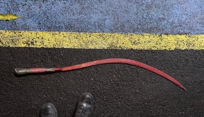 Polda Metro Tangkap Balap Liar di Ciputat, Sita Celurit Miris!