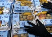 47 SPPG Dihentikan di Ramadan Karena Menu MBG Tidak Layak Dimakan!