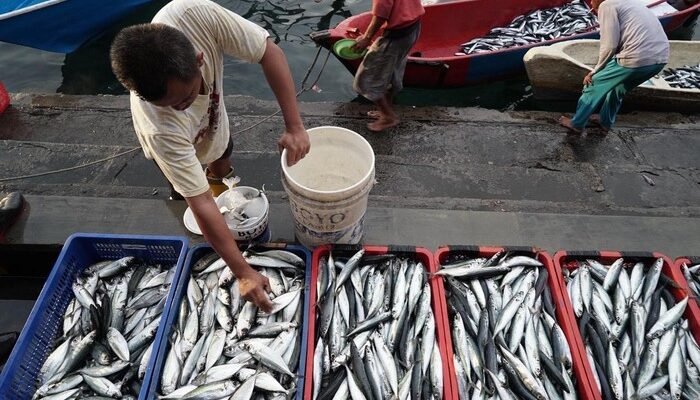 Potret Arsitektur Ketahanan Pangan Biru di Ramadan 2026 – Update 3