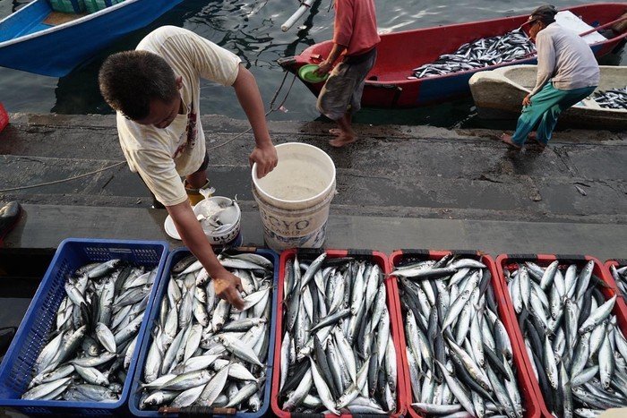 Potret Arsitektur Ketahanan Pangan Biru di Ramadan 2026 - Update 3