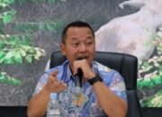 Terkuak Perambahan Hutan di Tesso Nilo: Anak Gajah Jadi Korban Tragis