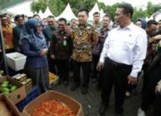 **Ungkap Beras, Daging Sapi hingga Ayam Surplus, Mentan: Lebaran Tenang!**