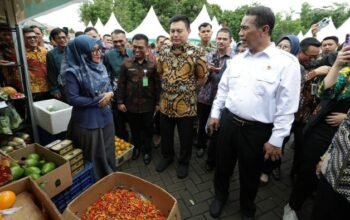 **Ungkap Beras, Daging Sapi hingga Ayam Surplus, Mentan: Lebaran Tenang!**
