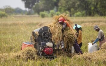 BPS Catat Daya Beli Petani Naik, Ini Datanya: Meningkatkan Nilai Tukar Petani dengan Strategi Bisnis Modern