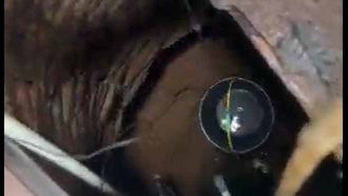 Desa Terpencil Desak Pemerintah, Kekurangan Air Bersih Berdampak pada Kesehatan