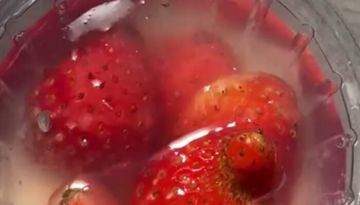 **Belatung dalam Puding MBG di SD Malang, Wali Murid Geram dan Adu Domba**