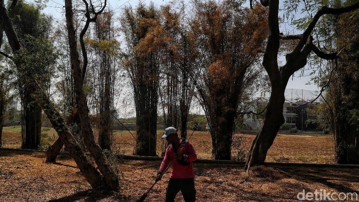 Warga DKI Diminta Hentikan Pembakaran Sampah, Hemat Air Sebelum Kekeringan!