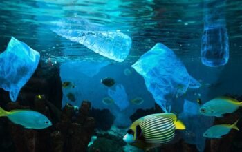 BRIN Temukan Mikroplastik hingga Kedalaman 2.450 Meter di Laut RI – Update 1