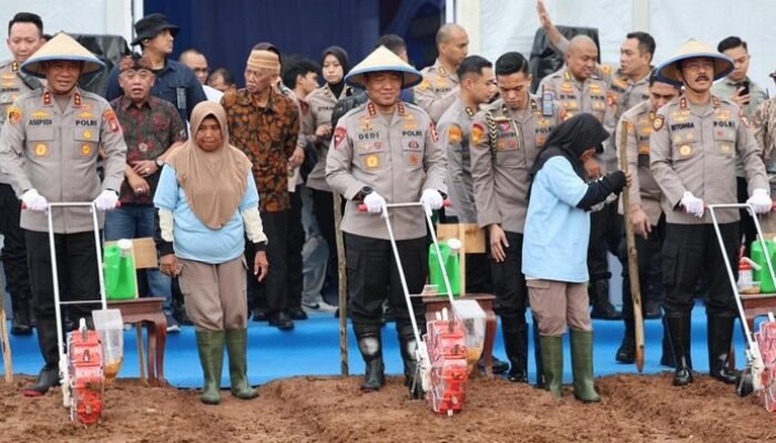 “Wujudkan Swasembada Pangan, Polda Metro Berkebun Jagung di Bekasi!”