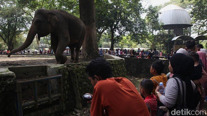 Ragunan Zoo H+1 Lebaran, Buka Pagi到Sore, Jangan Lewatkan!