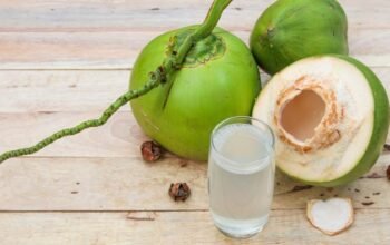 BGN Tangguhkan 9 Dapur MBG, Kenapa Sajikan Kelapa Utuh Jadi Masalah?