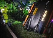Bus Terperosok ke Jurang di Lahat Sumsel, Polisi Langsung Evakuasi – Update 1