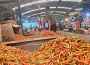 Harga Cabai Tembus Rp 120.000/Kg, Ini Biang Keroknya yang Mempengaruhi Bisnis Anda!