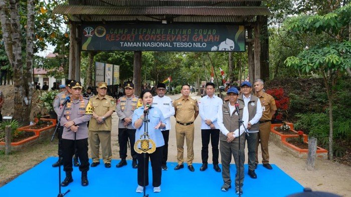 Titiek Soeharto: Tesso Nilo, Rumah Gajah yang Perlu Ditangani dengan Serius