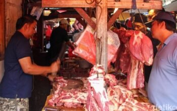 Stok Daging Sapi RI 226.000 Ton: Benarkah Cukup Jelang Lebaran?