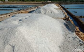 RI Bakal Setop Impor Garam Industri 2027: Ancaman atau Peluang untuk Bisnis Lokal?