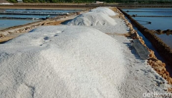 RI Bakal Setop Impor Garam Industri 2027: Ancaman atau Peluang untuk Bisnis Lokal?