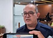 RI Mau Impor 160 Ribu Mobil Pickup dari India, Jepang dan China: Apa yang Menjaganya dari Krisis?